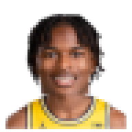 Morez Johnson Jr.